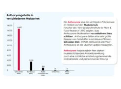 Versele Superstar Plus IC+ Black Label 20kg -Heimtierbedarf antioxidantien 214