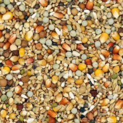 Versele Junior Active Life 25kg