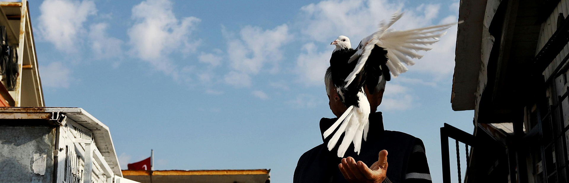 Heimtierbedarf -Heimtierbedarf pexels nesrin ozturk 213162154 18622347