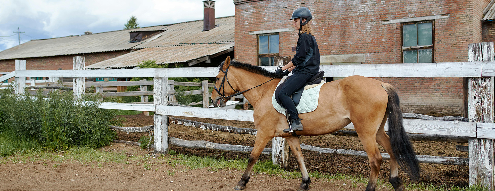 Heimtierbedarf -Heimtierbedarf pexels sergeymakashin 5368698