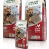 Bewi Dog Sport 25kg -Heimtierbedarf rs2801 bd sport gruppe frei 130903 mg